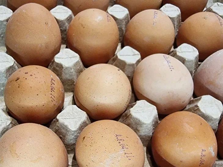 Как продлить свежесть яиц: эти лайфхаки выручат, если в холодильнике нет места