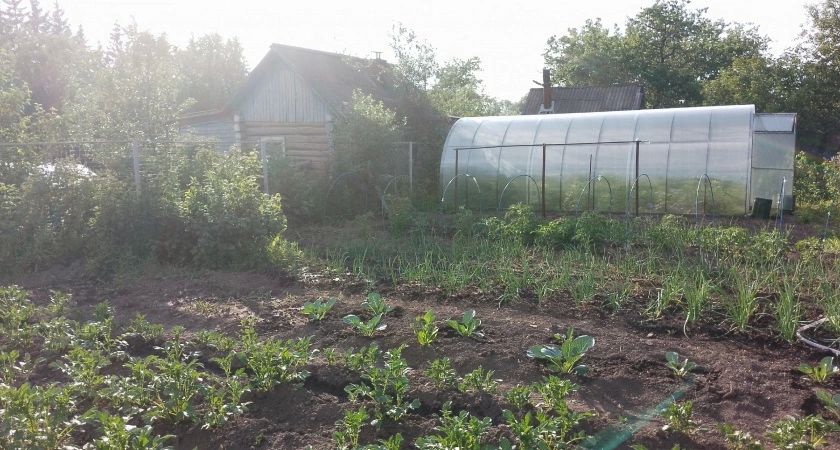 С 18 апреля полностью будут запрещены скважины на участке: их заставят убрать