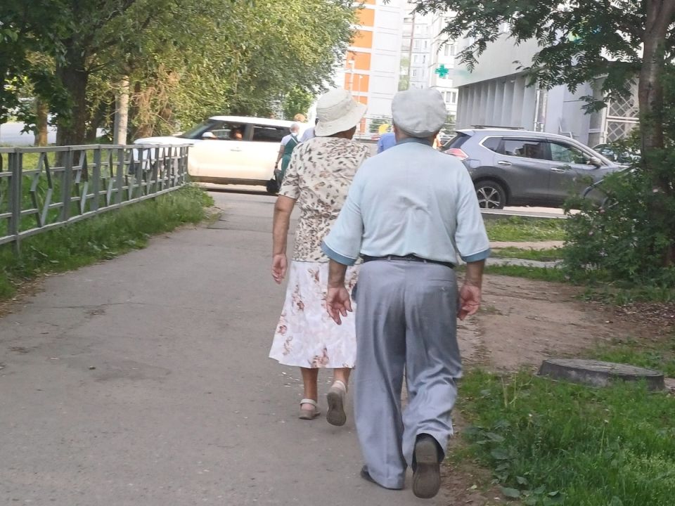   :      2025 