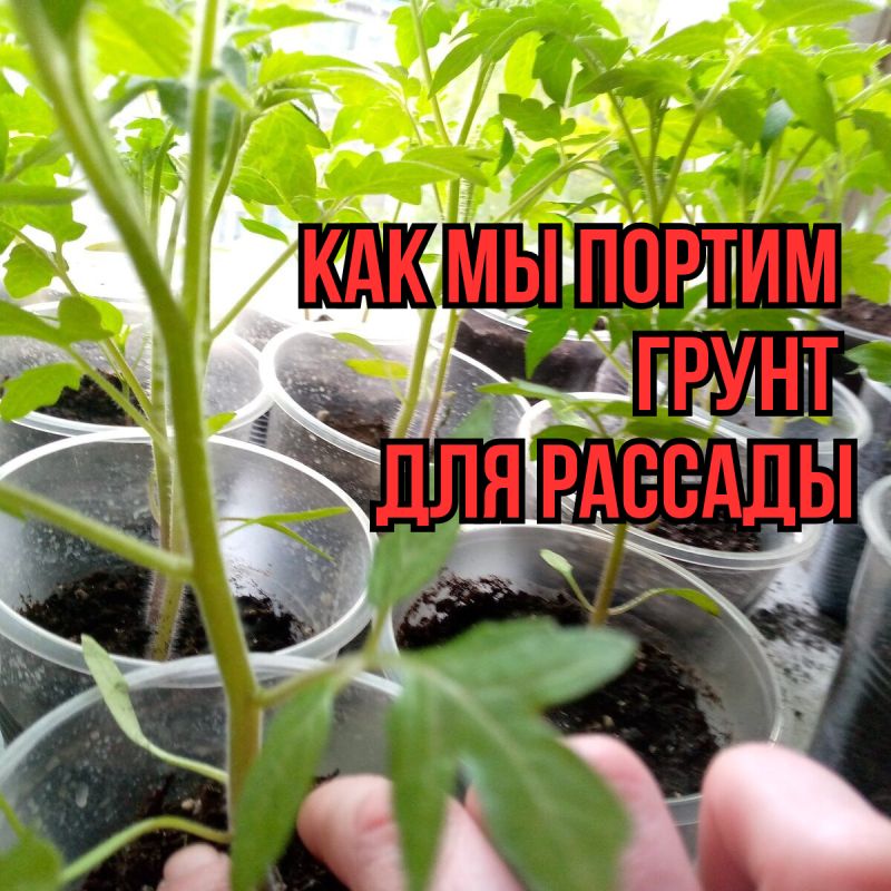     :      