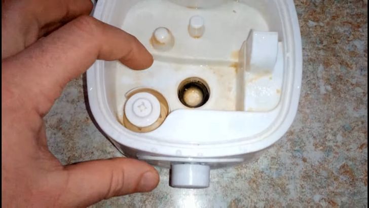 19  ,  ,    ,   
