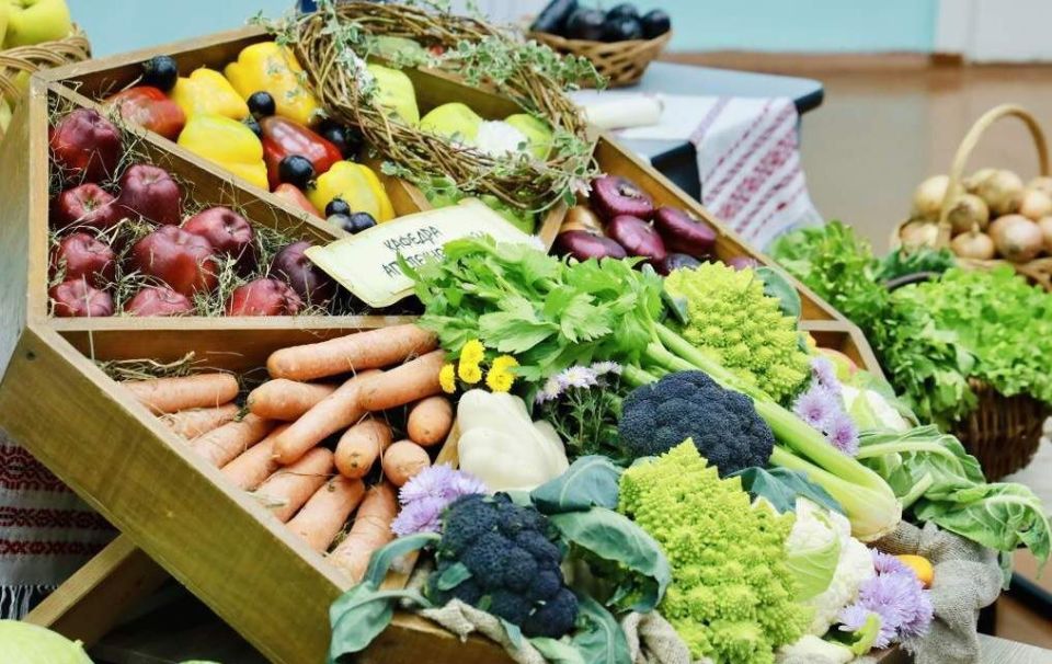 Овощная симфония: ГГАУ запускает уникальный проект о здоровом питании