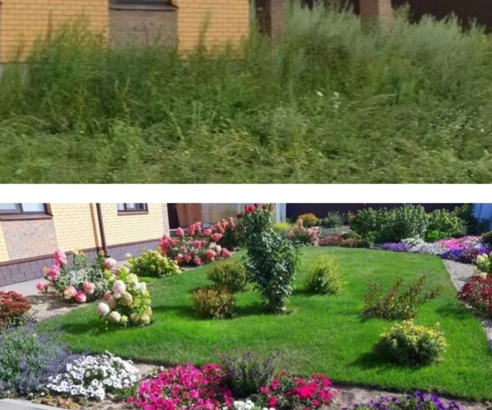 Как из обычного пустыря превратился в цветущий сад: впечатляющая трансформация