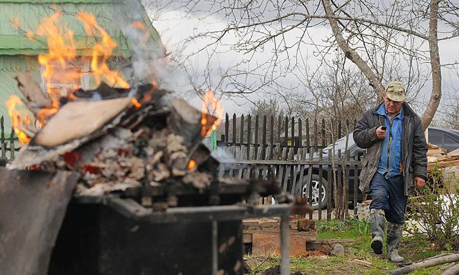 Как избежать штрафов на дачном участке: все, что нужно знать