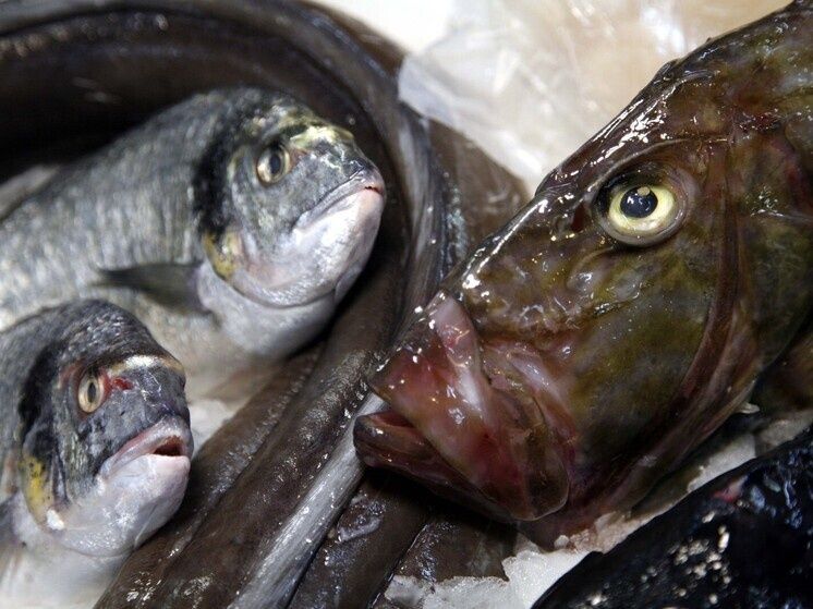 Как выбрать замороженную рыбу: советы для гурманов