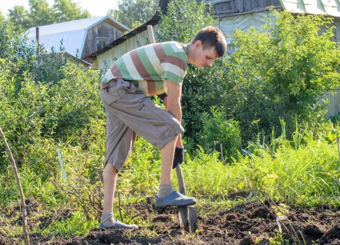 Как природа может изменить ваш сад: советы от экспертов
