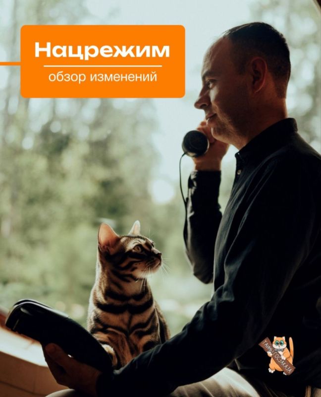 Нацрежим: что нового с 1 сентября 2025 года в сфере госзакупок?