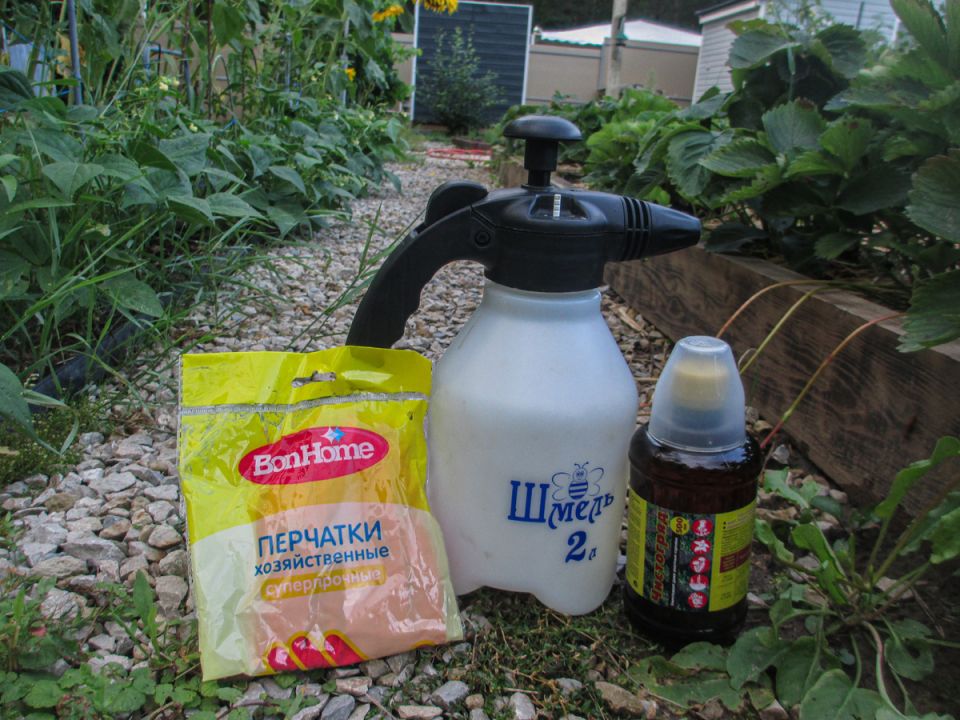 Как быстро очистить дорожки от сорняков: эффективные советы для дачников