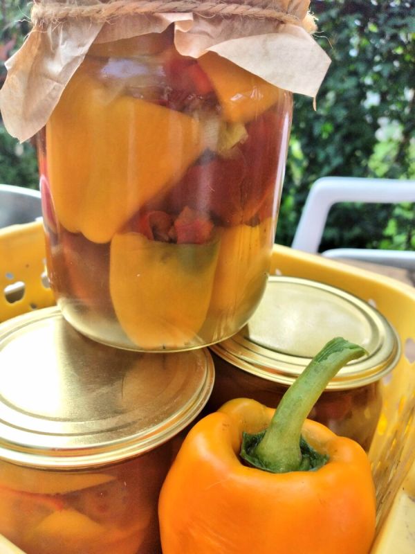 Удивительно вкусные маринованные перцы с айвой: просто и быстро