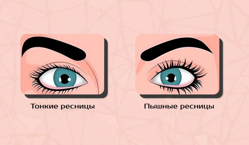 Тест на характер по типу ресниц: что говорит о вас ваш выбор?