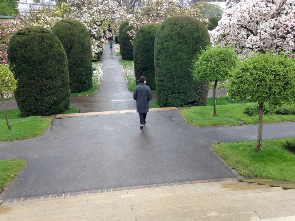 Тайны ухода за садом: Азбука терминами Е, Ж и З