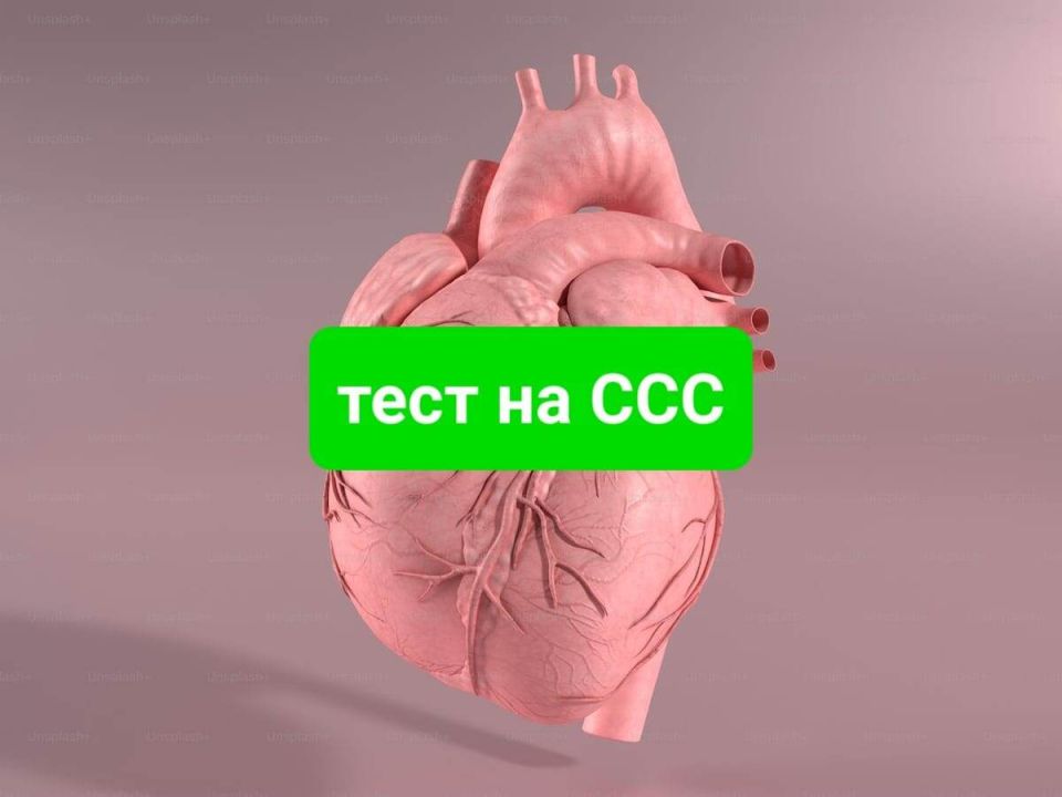 Как смена рациона может омолодить ваш организм