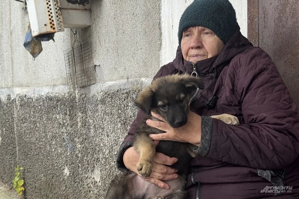 Ростовская область готовится к введению 13-й пенсии к Новому году