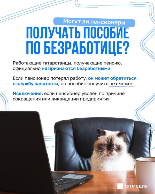 Как работающие пенсионеры справляются с потерей работы: пособия и новые возможности