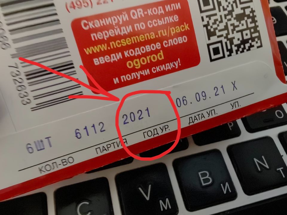 Как правильно выбрать семена перца для успешного выращивания