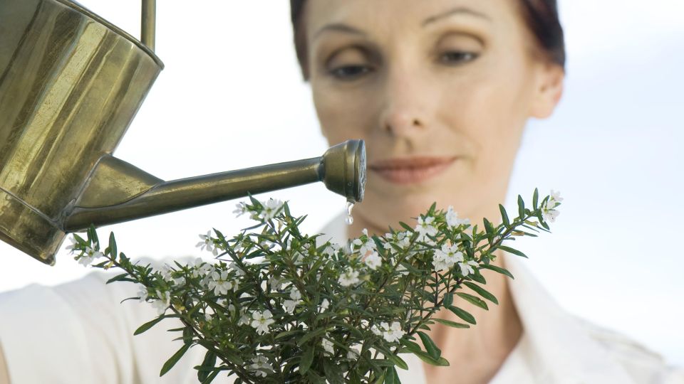 Зря выбрасывали: этот отход защитит растения от вредителей лучше любой «химии»