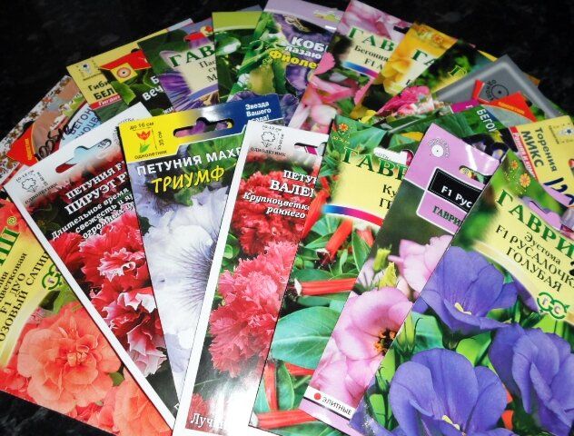 Секреты выбора семян для вашего сада