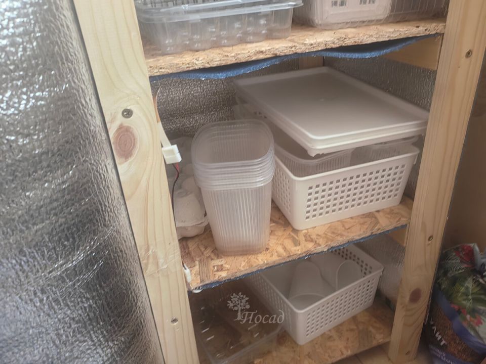 Как привычные контейнеры для рассады могут превзойти дорогую профессиональную тару