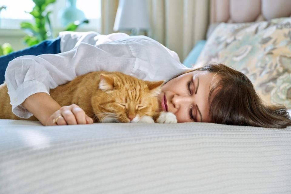 Почему ваша кошка выбирает вас для совместного сна?