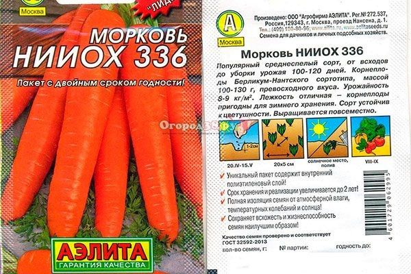 Морковь НИИОХ 336: как вырастить идеальный овощ для вашего стола