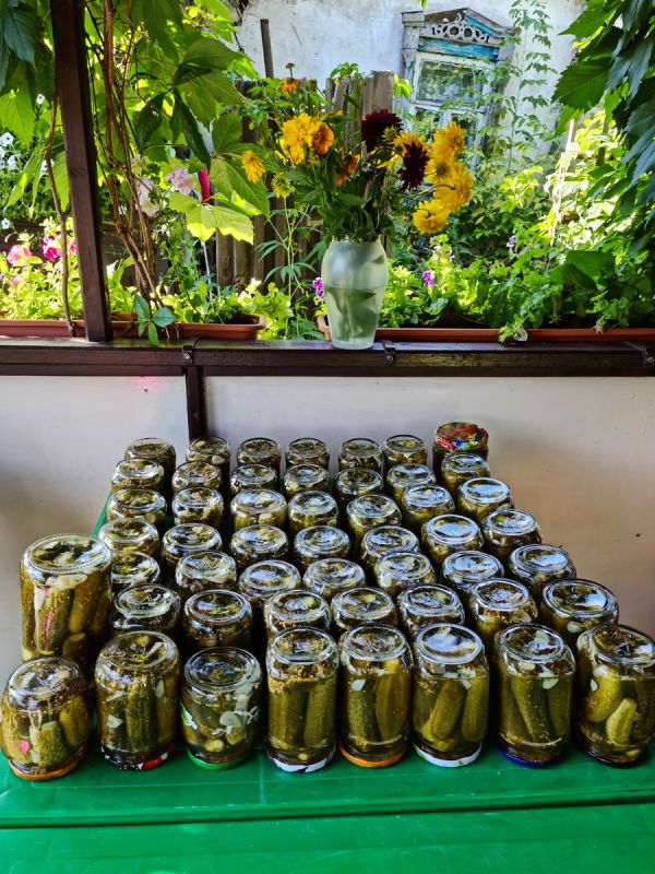 Вкус, который покорит на зиму