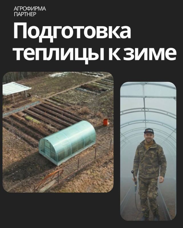 Эффективная зимняя подготовка теплицы: шаги к богатому урожаю