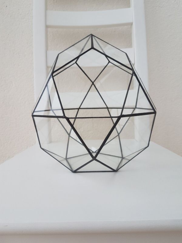 Как создать идеальный флорариум: 8 ключевых компонентов для вашего зеленого уголка