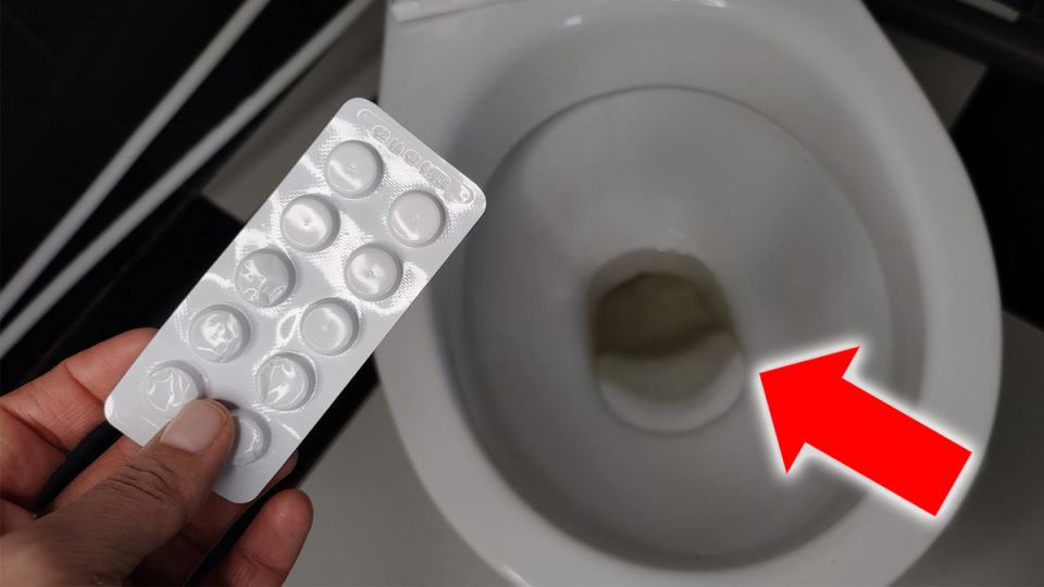 Как гарантированно сделать унитаз сияющим и свежим: простые советы