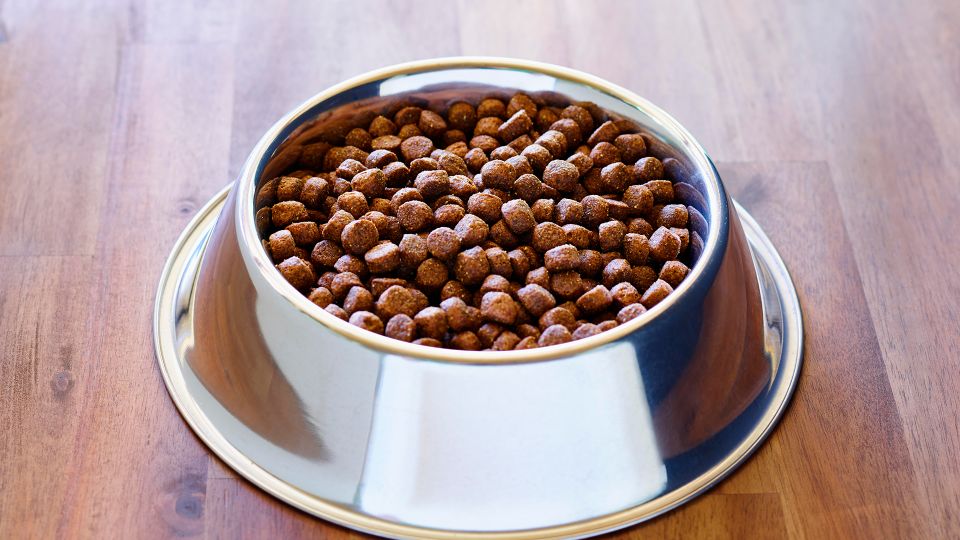 Так хранить корм для собак и кошек нельзя: испортится быстрее, чем выйдет срок