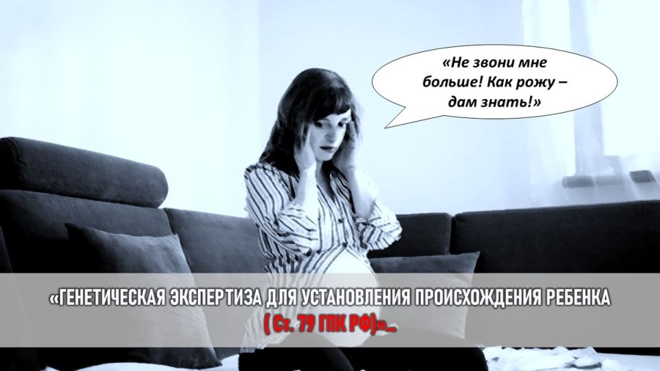 Сплетни и ДНК: Как семейная драма превратилась в судебный детектив