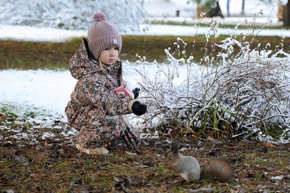 Аномальная зима в России: благодатный или рискованный урожай?