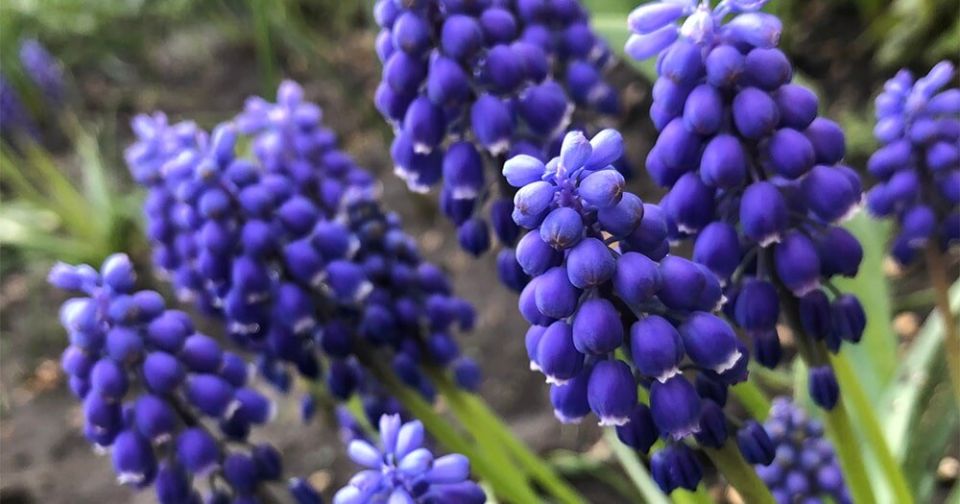 �������: �������� ����������� ������ ����