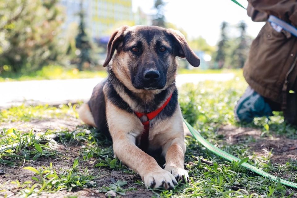 ����� ������������ � ������ ��������: ��� ��������� ��� �� ����������?