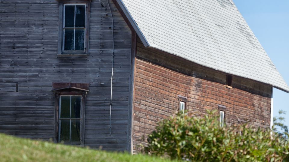 ��������� �������������: ����������� ����������� ����������