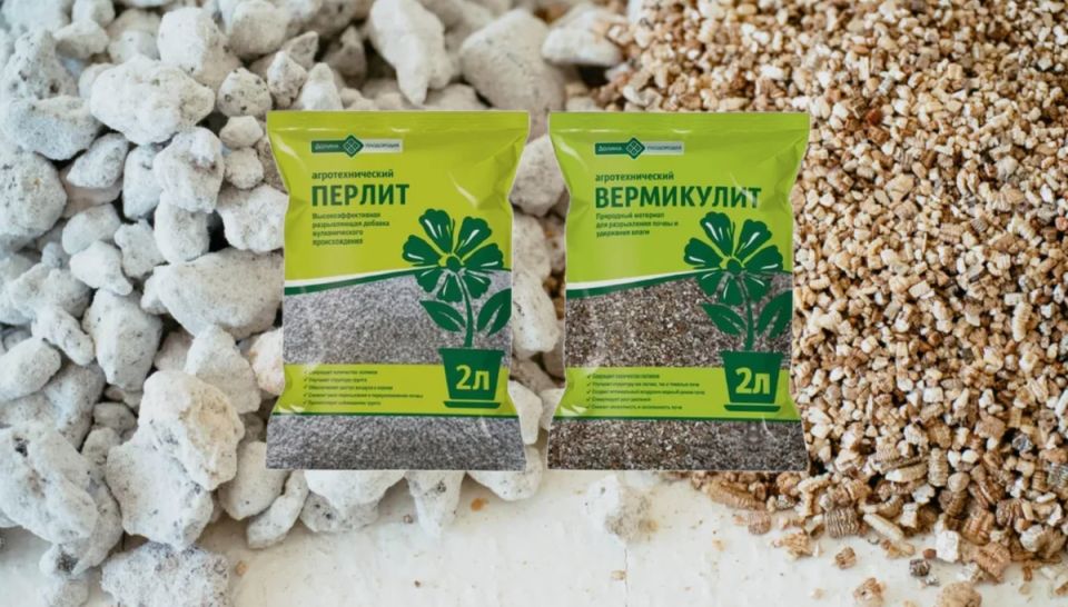 ��� ���������� � ������ ����� ������� ���� �������� �����������