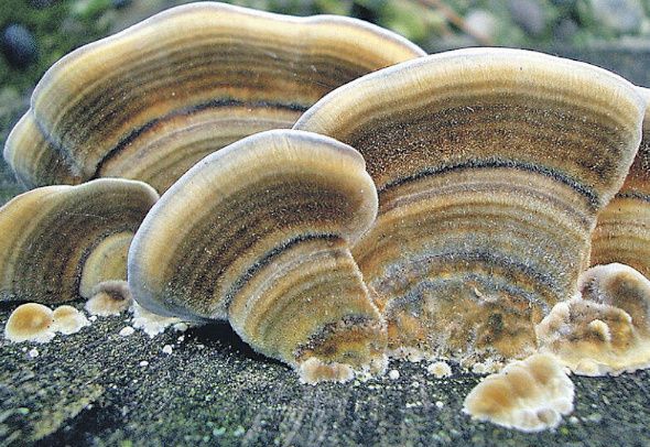 10 ������ ������������� ��� ������ ��������: ����������� ��� ��� ������ ����