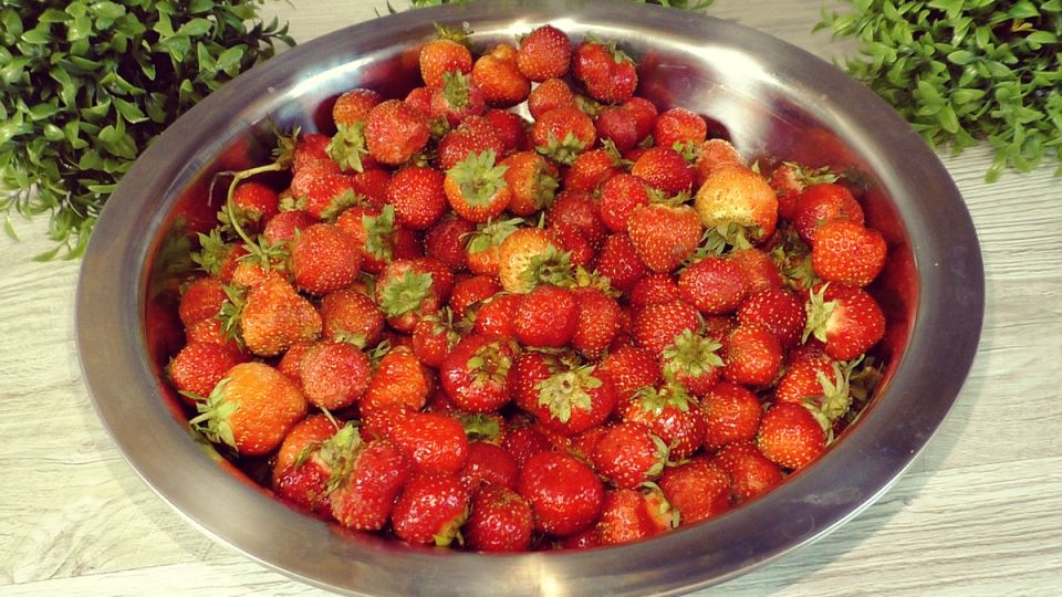 �������� Wildberries � ������� ������������ �� ����