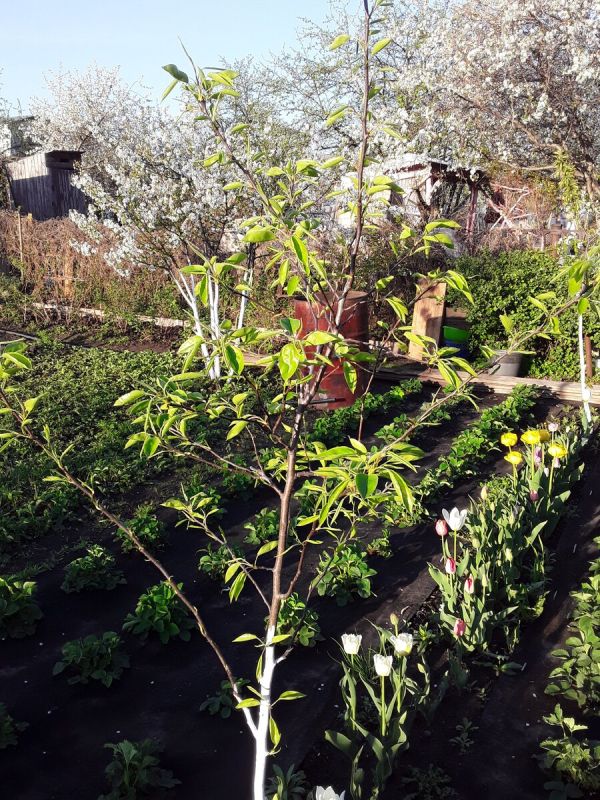 ��������� ��������� � ������� ����: ������� ����� ����� ������ ��������