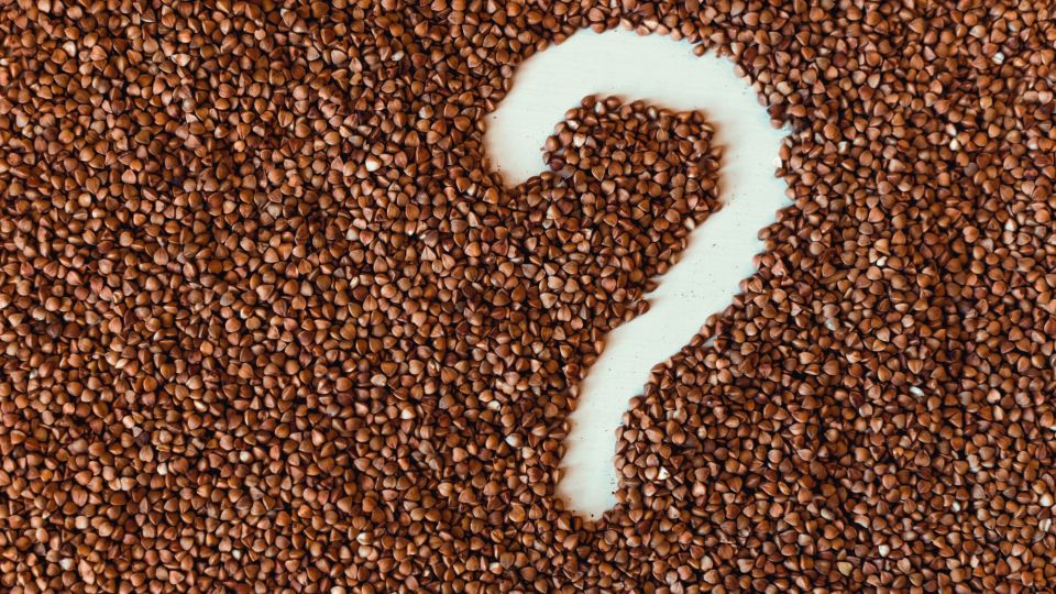 �� ����� � �� �����: ���������� ������� �������� ����� ������ �������� ������