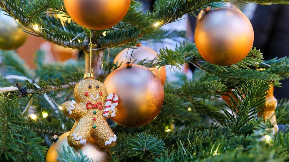 ����� ��� ��� ������� ����: ������ �� ��������� ������