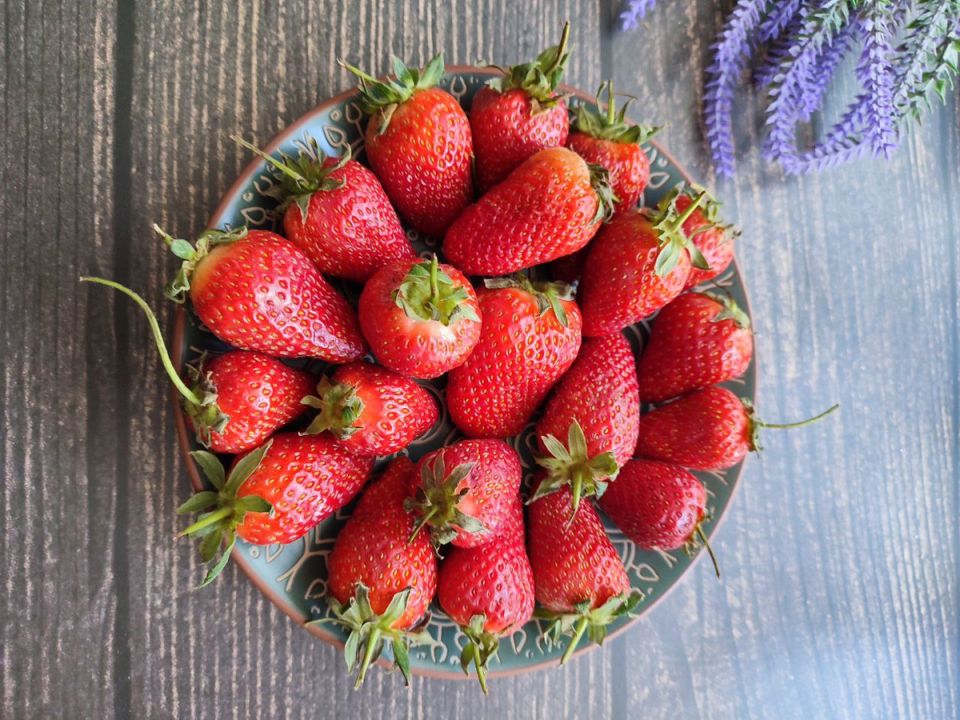 ���������� �����: ����� ������� ������� ��������� �� ����