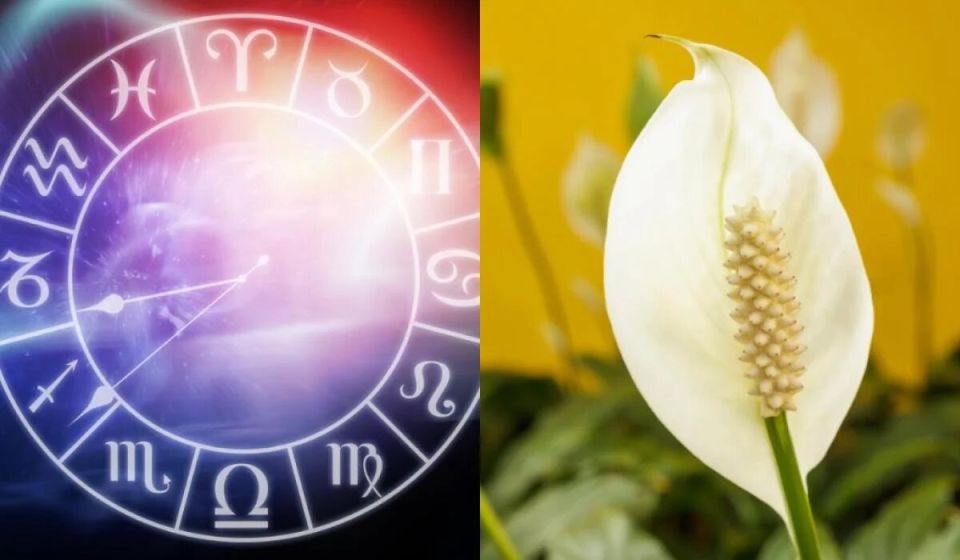 ���������� ��������� � �����: ��� ������� �� ����� �������