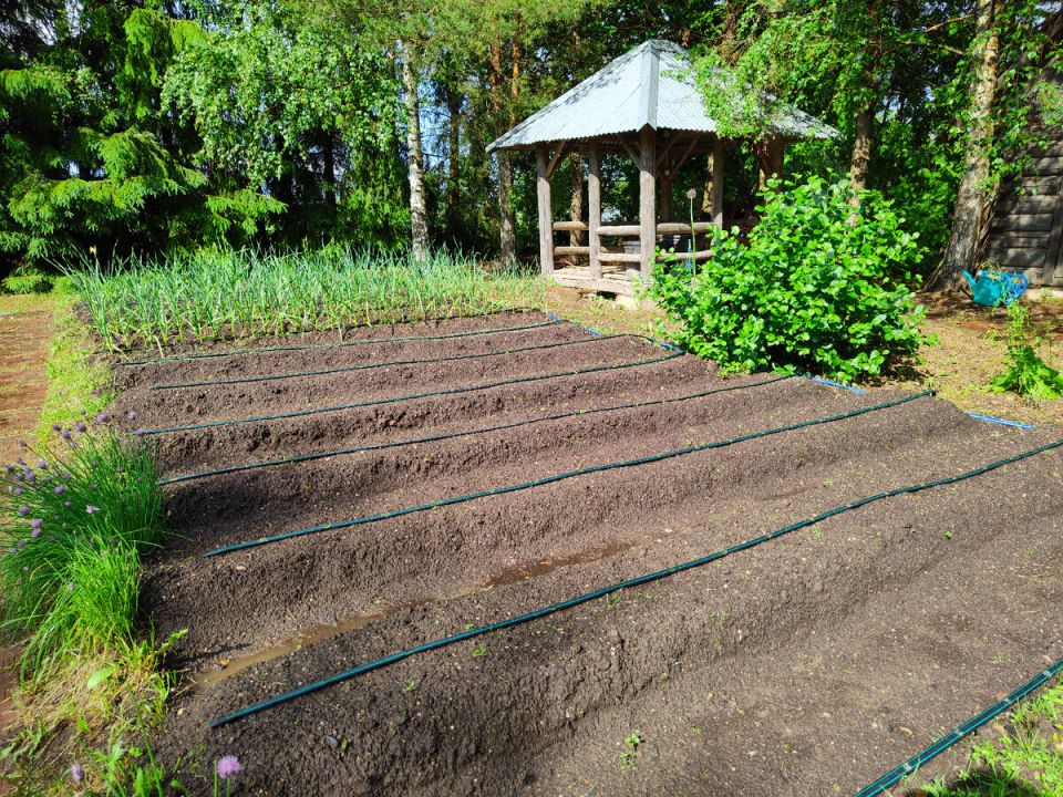 ����������� ������ ���� �� ����: ������� ������� �� ��������� ������������