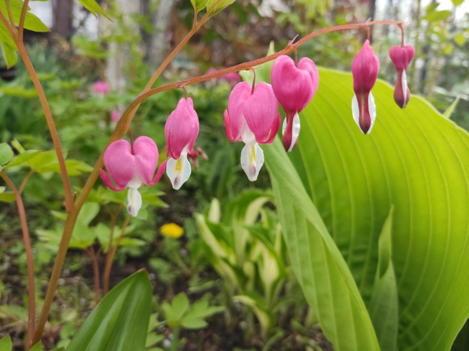 �����: ������������� �������� ������ ����