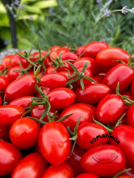 ����� � 355 F1: �������� ����� ��� ������� ������ � ����� ��������