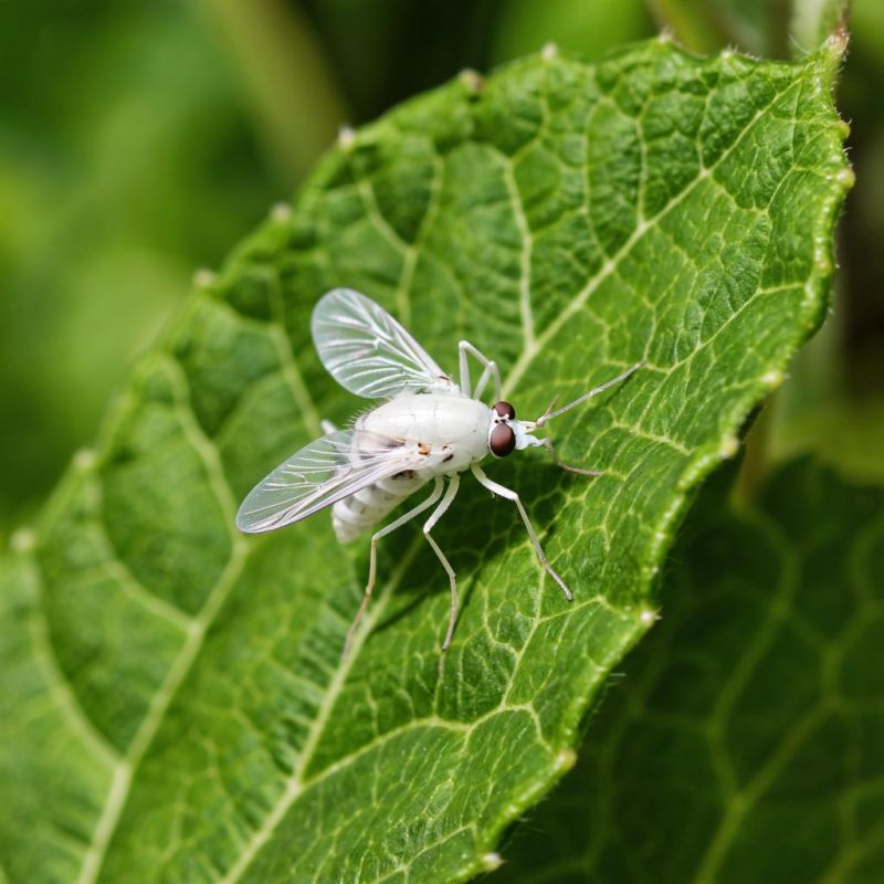 ��� ���������� �������� � ����������� �� ������� � � �������