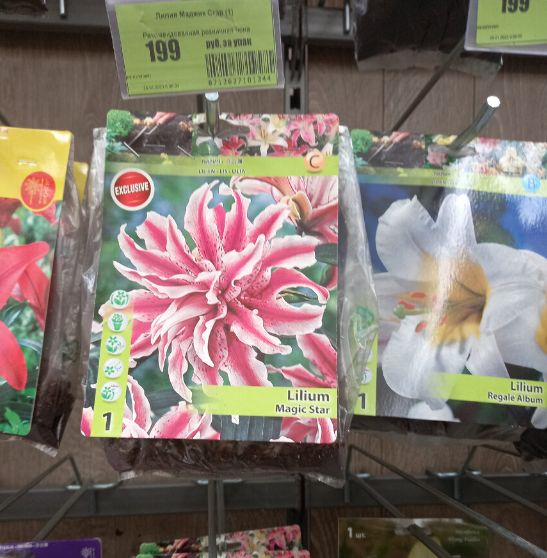 ��� ��������� ������� � ������ ��������� � ��������: �������� ������ ��� ���������