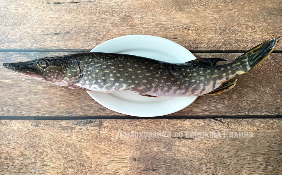 ������� �� ����: ������� � ������� ������ ��� ����, ������� ������� ����