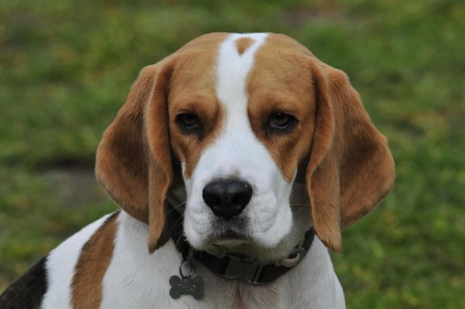 ����� ������, ������� �� ��� ��������� ��������