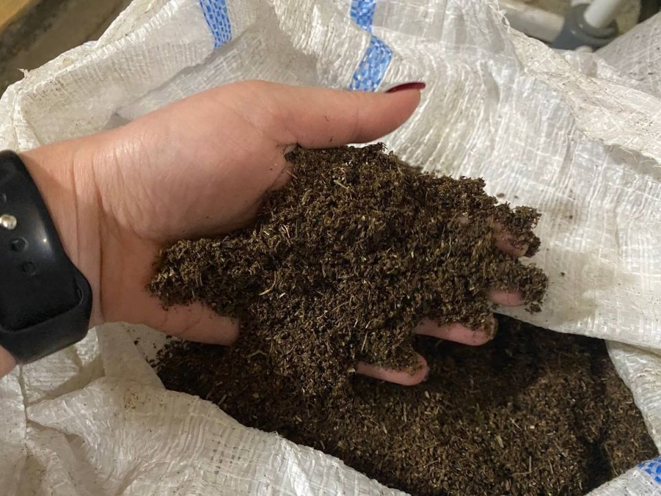 Как выбрать между компостом и перегноем для ваших растений